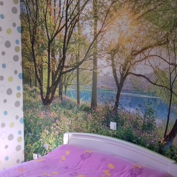 Pose de poster sur mur